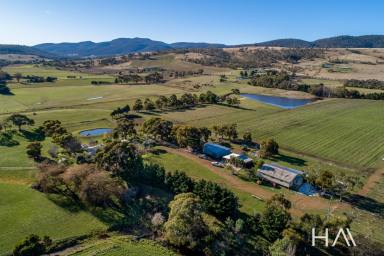 Farm Sold - TAS - Campania - 7026 - "Mallow" A Luxury Lifestyle Property and Vineyard in The Coal River Valley  (Image 2)