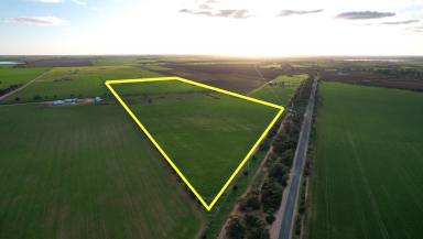 Farm Sold - VIC - Swan Hill - 3585 - A FIELD OF OPPORTUNITY!  (Image 2)