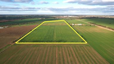 Farm Sold - VIC - Swan Hill - 3585 - A FIELD OF OPPORTUNITY!  (Image 2)