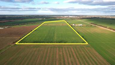 Farm Sold - VIC - Swan Hill - 3585 - A FIELD OF OPPORTUNITY!  (Image 2)