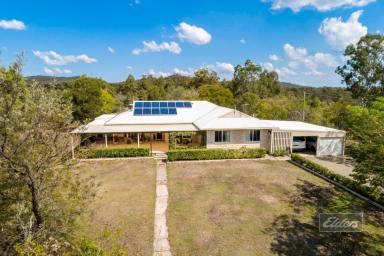 Farm Sold - QLD - Gunalda - 4570 - YOU CANT BUY BETTER THAN THIS!  (Image 2)