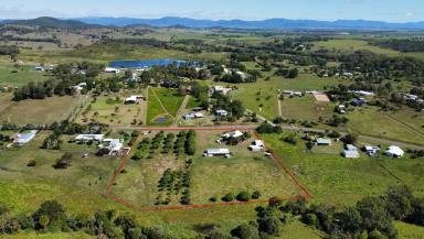 Farm Sold - QLD - Alligator Creek - 4740 - 5 acres, 16 bays worth of shed space - 25 minutes from Mackay  (Image 2)