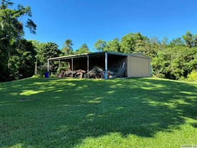 Farm Sold - QLD - Maria Creeks - 4855 - BUILD YOUR DREAM HOME ON THIS APPROX. 7.6 ACRE BLOCK  (Image 2)