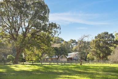 Farm Sold - WA - Margaret River - 6285 - Premium Country Retreat  (Image 2)