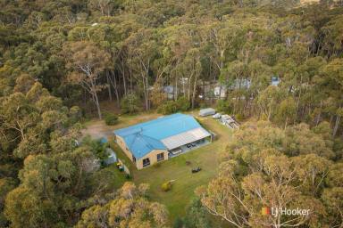 Farm Sold - NSW - Kalaru - 2550 - SHOW STOPPING COASTAL PROPERTY  (Image 2)