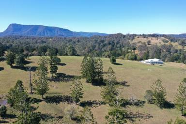 Farm Sold - NSW - Kyogle - 2474 - "WADEVILLE PARK"  (Image 2)