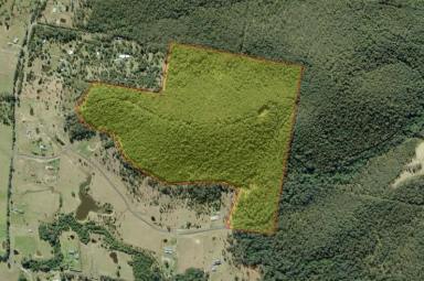 Farm Sold - NSW - Bulahdelah - 2423 - Acres, Views and Close to Town!  (Image 2)