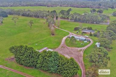Farm Sold - VIC - Homerton - 3304 - 126 acre farming property with 3 b/r brick home  (Image 2)