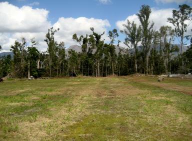 Farm Sold - QLD - Carruchan - 4816 - Vacant rural block with creek frontage -...  (Image 2)