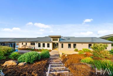 Farm Sold - TAS - Margate - 7054 - Welcome to 163 Hickmans Road  (Image 2)