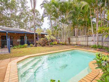 Farm Sold - QLD - Bauple - 4650 - Small Acreage in Beautiful Bauple!  (Image 2)