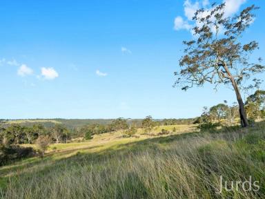 Farm Sold - NSW - Mangrove Mountain - 2250 - 79 VACANT ACRES OF FARMLAND WITHIN AN HOUR OF SYDNEY  (Image 2)
