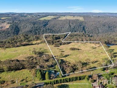 Farm Sold - NSW - Mangrove Mountain - 2250 - 61 VACANT ACRES OF FARMLAND WITHIN AN HOUR OF SYDNEY  (Image 2)