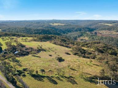 Farm Sold - NSW - Mangrove Mountain - 2250 - 61 VACANT ACRES OF FARMLAND WITHIN AN HOUR OF SYDNEY  (Image 2)
