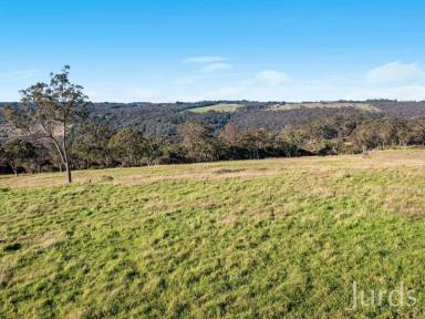Farm Sold - NSW - Mangrove Mountain - 2250 - 53 VACANT ACRES OF FARMLAND WITHIN AN HOUR OF SYDNEY  (Image 2)