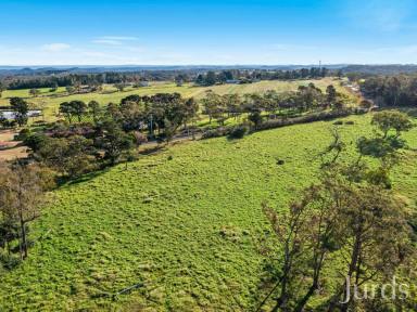 Farm Sold - NSW - Mangrove Mountain - 2250 - 53 VACANT ACRES OF FARMLAND WITHIN AN HOUR OF SYDNEY  (Image 2)