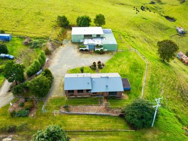 Farm Sold - VIC - Bruthen - 3885 - QUALITY HOME, VIEWS AND MASSIVE SHEDDING  (Image 2)