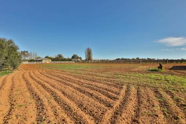 Lot 2 1227 Karadoc Avenue , Irymple VIC 3498