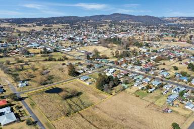 Farm Sold - NSW - Tenterfield - 2372 - One Hectare - Two Titles.....  (Image 2)