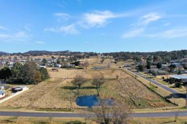 Farm Sold - NSW - Tenterfield - 2372 - One Hectare - Two Titles.....  (Image 2)