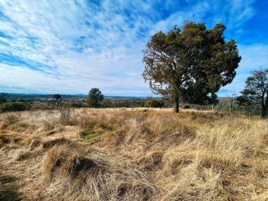 Farm Sold - NSW - Upper Horton - 2347 - Undulating Grazing Block Or Weekend Getaway  (Image 2)