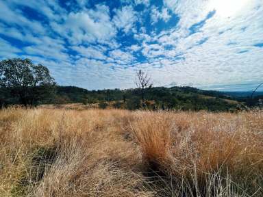 Farm Sold - NSW - Upper Horton - 2347 - Undulating Grazing Block Or Weekend Getaway  (Image 2)