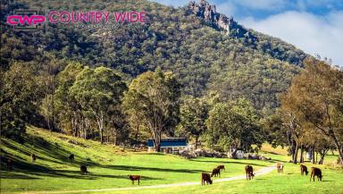 Farm For Sale - NSW - Tenterfield - 2372 - The Ultimate Tree Change & Tourism Opportunity  (Image 2)