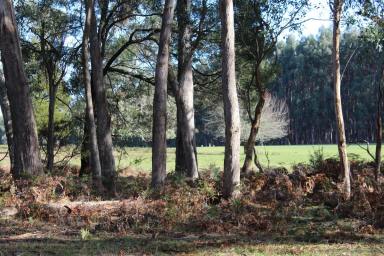 Farm Sold - VIC - Digby - 3309 - Grazing/Camping Block  (Image 2)