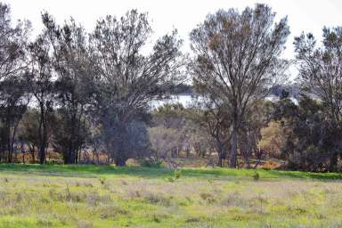 Farm Sold - WA - Wagin - 6315 - Natures Secret  (Image 2)