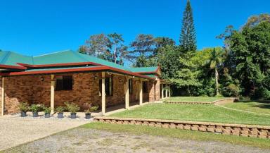 Farm Sold - QLD - Aloomba - 4871 - Private Acreage - Large Family Home - 14 x 9 m Shed  (Image 2)