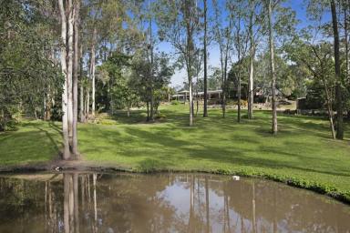 Farm Sold - QLD - Cashmere - 4500 - Peace & Tranquility on over 1.5 Town Water Acres!  (Image 2)