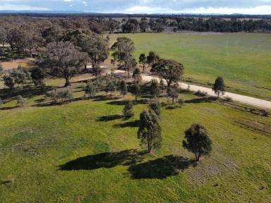 Farm For Sale - VIC - Alma - 3465 - Bank Friendly! House and land 4 bed Plus Study 2 bath 2 living qual const approx 4.663 Acres with town water and town power 8.3Klms to Maryborough  (Image 2)