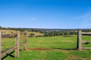 Farm Sold - NSW - Fernleigh - 2479 - An enviable slice of acreage magic  (Image 2)