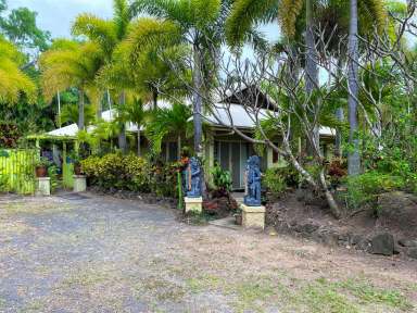 Farm For Sale - QLD - Cooktown - 4895 - Lifestyle, Business or Development Opportunity  (Image 2)