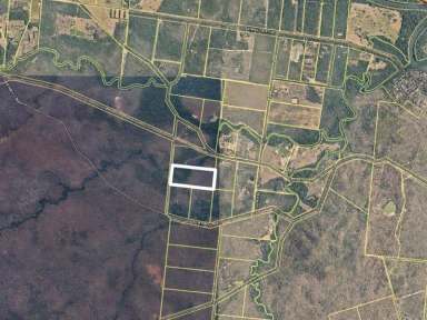 Farm Sold - QLD - Cooktown - 4895 - 30 acres with cleared access track  (Image 2)