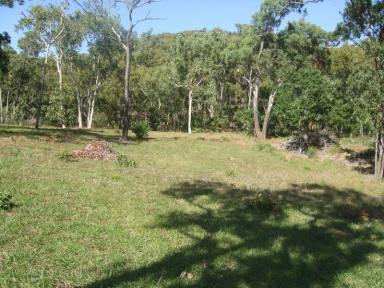 Farm Sold - QLD - Cooktown - 4895 - 1 Acre block of land close to town  (Image 2)