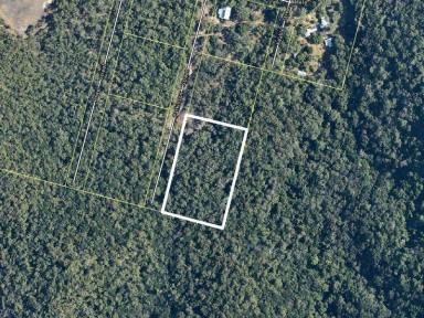 Farm Sold - QLD - Cooktown - 4895 - Mt Cook Tropical Forest Retreat  (Image 2)