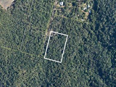 Farm Sold - QLD - Cooktown - 4895 - Mt Cook Tropical Forest Retreat  (Image 2)