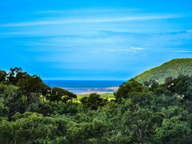 Farm For Sale - QLD - Cooktown - 4895 - Elevated Bush Block With Views  (Image 2)