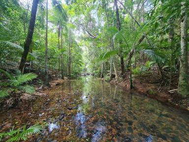 Farm Sold - QLD - Cooktown - 4895 - 560 acres of Cape York Wilderness  (Image 2)