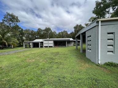 Farm Sold - QLD - Cooktown - 4895 - Quality Home on 1 1/2 acres 5 minutes from town  (Image 2)