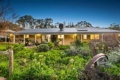 Farm Sold - VIC - Maiden Gully - 3551 - ULTIMATE LIFESTYLE PROPERTY  (Image 2)
