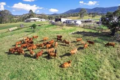 Farm Sold - QLD - Glastonbury - 4570 - GYMPIE PROPERTY AUCTION  (Image 2)