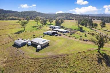 Farm Sold - QLD - Glastonbury - 4570 - GYMPIE PROPERTY AUCTION  (Image 2)