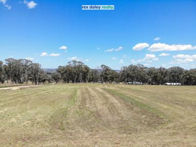 Farm Sold - NSW - Inverell - 2360 - RUNNYMEDE HEIGHTS ESTATE - YOUR DREAM LIFESTYLE  (Image 2)