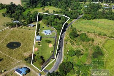 Farm Sold - QLD - Bulgun - 4854 - Executive home on manicured acreage  (Image 2)