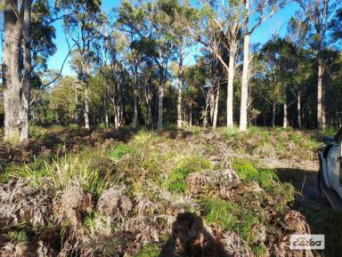 Farm Sold - TAS - York Town - 7270 - Vacant Land In Historical Area  (Image 2)