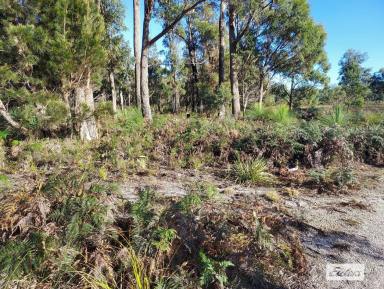 Farm Sold - TAS - York Town - 7270 - Vacant Land In Historical Area  (Image 2)