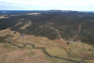 Farm Sold - NSW - Goulburn - 2580 - 241 Marian Vale Road  (Image 2)