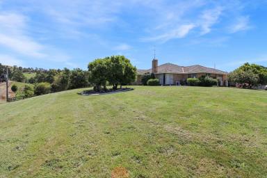 Farm For Sale - VIC - Mount Eccles - 3953 - DAIRY FARMING OPPORTUNITY  (Image 2)
